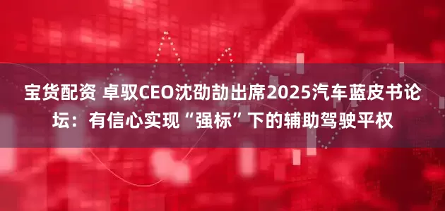 宝货配资 卓驭CEO沈劭劼出席2025汽车蓝皮书论坛：有信心实现“强标”下的辅助驾驶平权